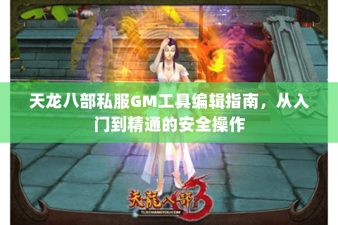 天龙八部私服GM工具编辑指南，从入门到精通的安全操作