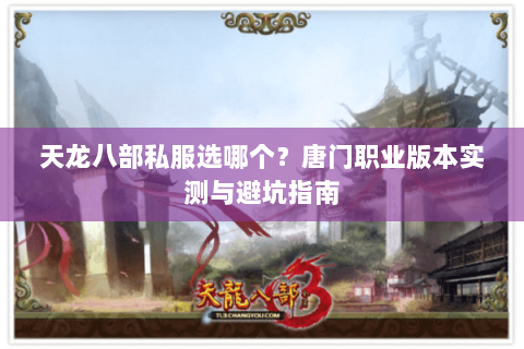 天龙八部私服选哪个？唐门职业版本实测与避坑指南