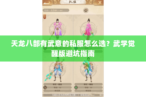 天龙八部有武意的私服怎么选？武学觉醒版避坑指南