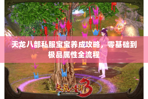 天龙八部私服宝宝养成攻略，零基础到极品属性全流程