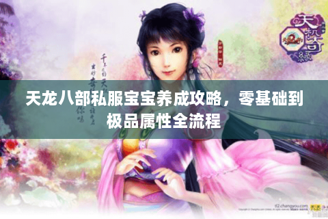 天龙八部私服宝宝养成攻略，零基础到极品属性全流程