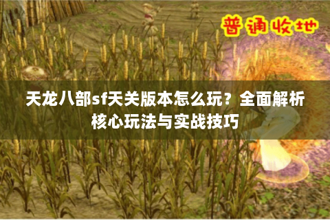 天龙八部sf天关版本怎么玩？全面解析核心玩法与实战技巧