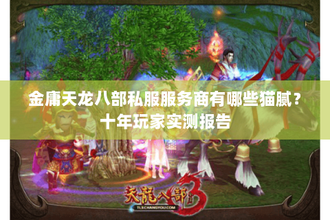 金庸天龙八部私服服务商有哪些猫腻？十年玩家实测报告