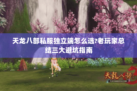 天龙八部私服独立端怎么选？老玩家总结三大避坑指南