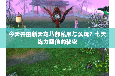 今天开的新天龙八部私服怎么玩？七天战力翻倍的秘密