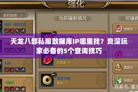 天龙八部私服数据库IP哪里找？资深玩家必备的5个查询技巧