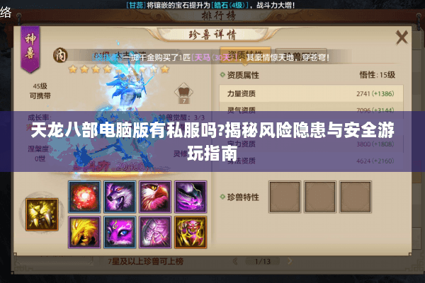 天龙八部电脑版有私服吗?揭秘风险隐患与安全游玩指南