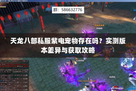 天龙八部私服紫电宠物存在吗？实测版本差异与获取攻略