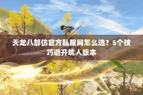 天龙八部仿官方私服网怎么选？5个技巧避开坑人版本