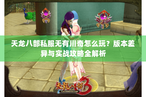 天龙八部私服无有川奇怎么玩？版本差异与实战攻略全解析