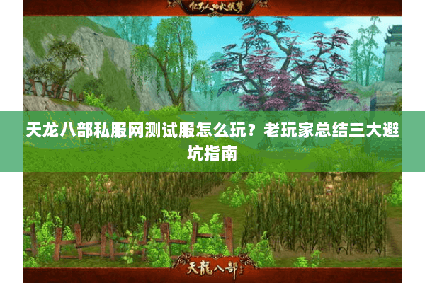 天龙八部私服网测试服怎么玩？老玩家总结三大避坑指南