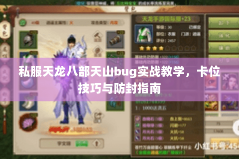 私服天龙八部天山bug实战教学，卡位技巧与防封指南