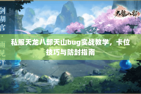 私服天龙八部天山bug实战教学，卡位技巧与防封指南