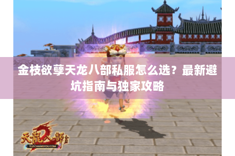 金枝欲孽天龙八部私服怎么选？最新避坑指南与独家攻略