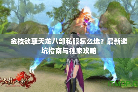 金枝欲孽天龙八部私服怎么选？最新避坑指南与独家攻略