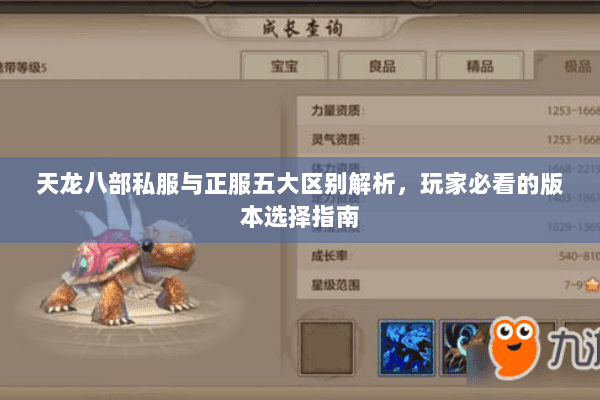 天龙八部私服与正服五大区别解析，玩家必看的版本选择指南