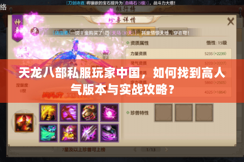 天龙八部私服玩家中国，如何找到高人气版本与实战攻略？