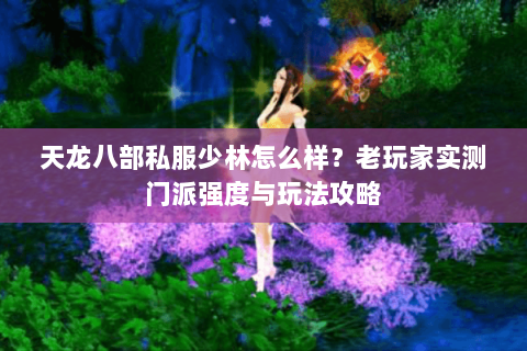 天龙八部私服少林怎么样？老玩家实测门派强度与玩法攻略