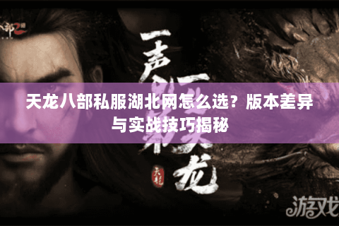 天龙八部私服湖北网怎么选？版本差异与实战技巧揭秘