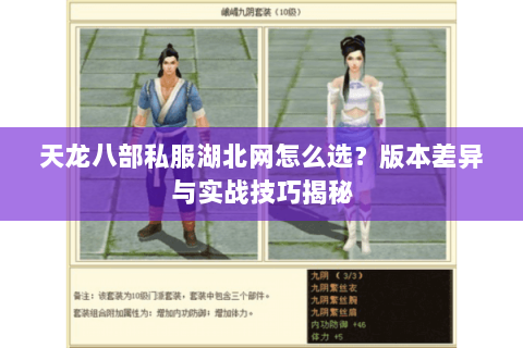 天龙八部私服湖北网怎么选？版本差异与实战技巧揭秘