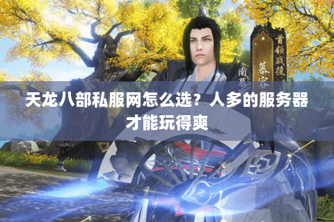 天龙八部私服网怎么选？人多的服务器才能玩得爽