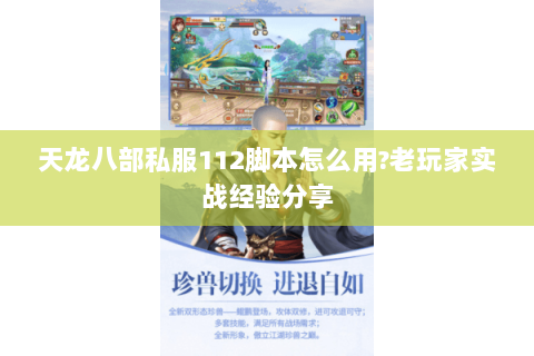 天龙八部私服112脚本怎么用?老玩家实战经验分享