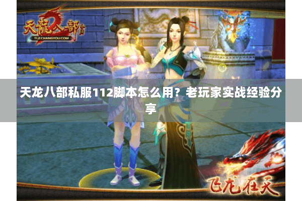天龙八部私服112脚本怎么用？老玩家实战经验分享