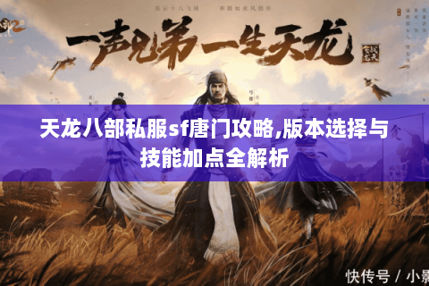天龙八部私服sf唐门攻略,版本选择与技能加点全解析