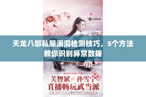 天龙八部私服漏洞检测技巧，5个方法教你识别异常数据