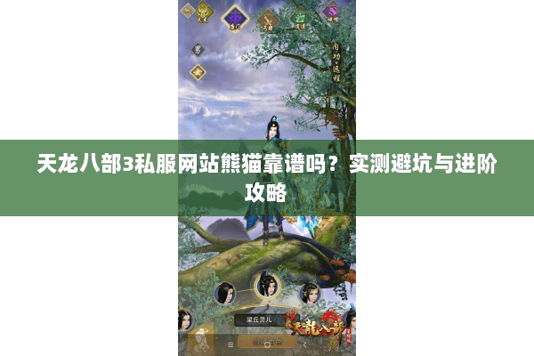 天龙八部3私服网站熊猫靠谱吗？实测避坑与进阶攻略