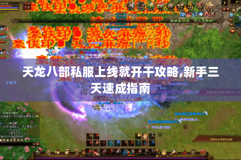 天龙八部私服上线就开干攻略,新手三天速成指南