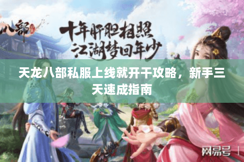 天龙八部私服上线就开干攻略，新手三天速成指南