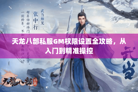 天龙八部私服GM权限设置全攻略，从入门到精准操控