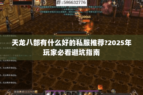 天龙八部有什么好的私服推荐?2025年玩家必看避坑指南