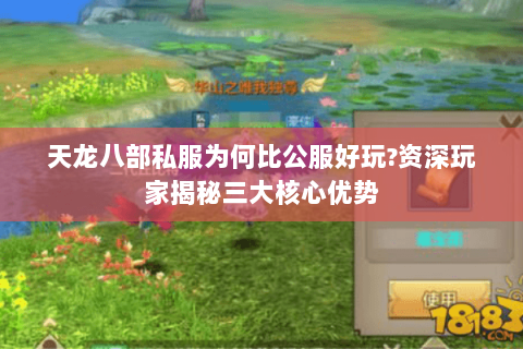 天龙八部私服为何比公服好玩?资深玩家揭秘三大核心优势