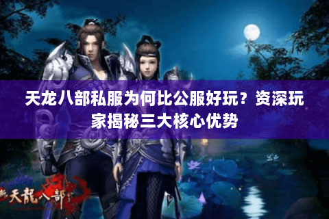 天龙八部私服为何比公服好玩？资深玩家揭秘三大核心优势