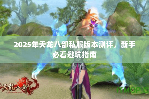 2025年天龙八部私服版本测评，新手必看避坑指南