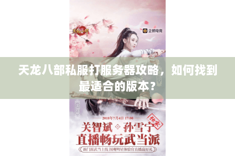 天龙八部私服打服务器攻略，如何找到最适合的版本？