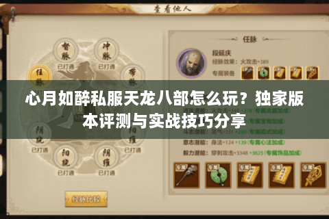 心月如醉私服天龙八部怎么玩？独家版本评测与实战技巧分享
