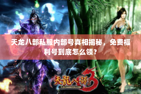 天龙八部私服内部号真相揭秘，免费福利号到底怎么领？