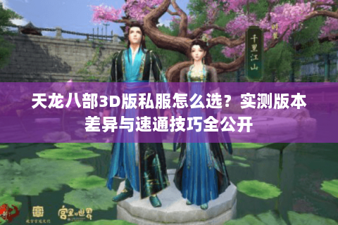 天龙八部3D版私服怎么选？实测版本差异与速通技巧全公开