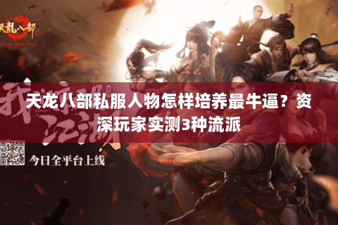 天龙八部私服人物怎样培养最牛逼？资深玩家实测3种流派