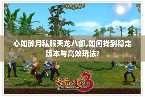 心如醉月私服天龙八部,如何找到稳定版本与高效玩法?