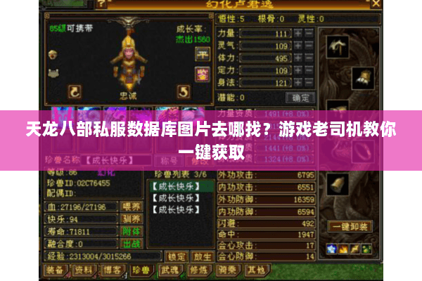 天龙八部私服数据库图片去哪找？游戏老司机教你一键获取