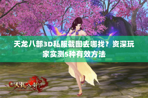 天龙八部3D私服截图去哪找？资深玩家实测5种有效方法