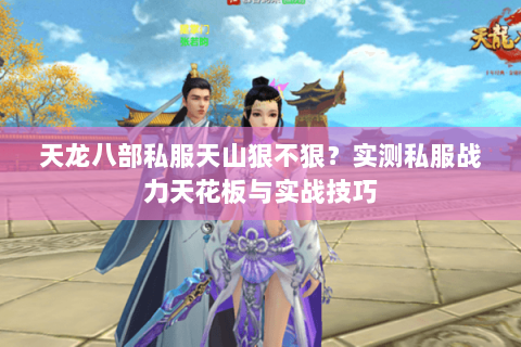 天龙八部私服天山狠不狠？实测私服战力天花板与实战技巧