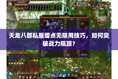 天龙八部私服增点无限用技巧，如何突破战力瓶颈？