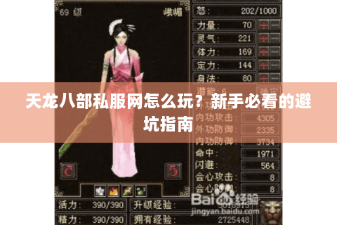 天龙八部私服网怎么玩？新手必看的避坑指南
