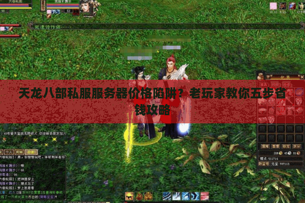 天龙八部私服服务器价格陷阱？老玩家教你五步省钱攻略