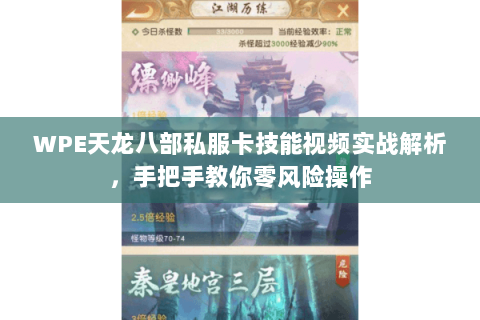 WPE天龙八部私服卡技能视频实战解析，手把手教你零风险操作